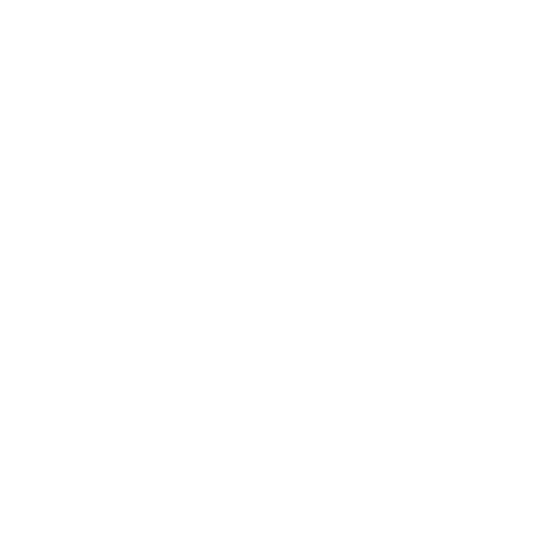 due diligence